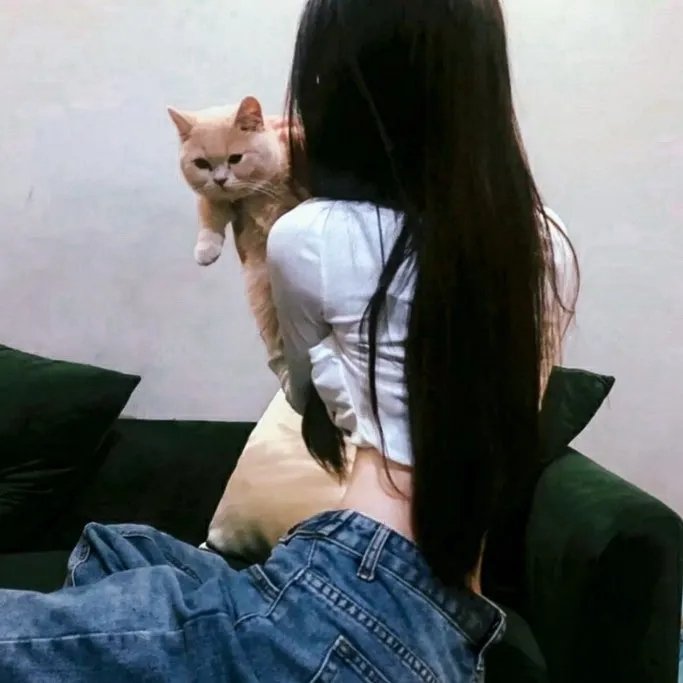 新妇日记